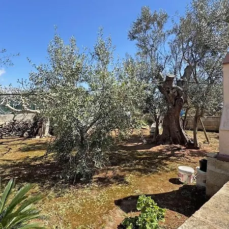 Ulivo By Salento Affitti Villa Capilungo